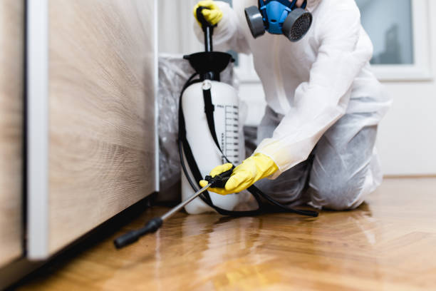 Pest Control Cost in Weedsport, NY