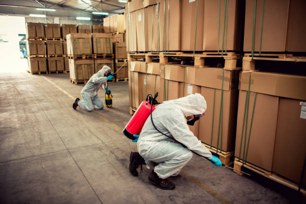 Reliable Weedsport, NY Pest Control Solutions