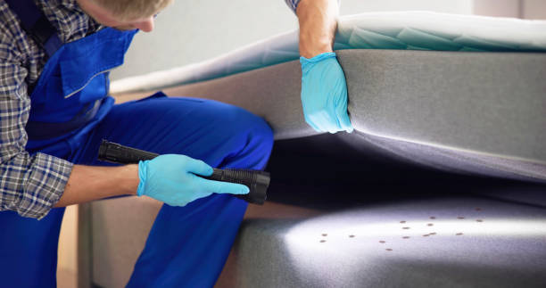 Best Bed Bug Extermination  in Weedsport, NY